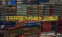 《探探猫大作战》训练场玩法介绍