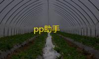 pp助手
